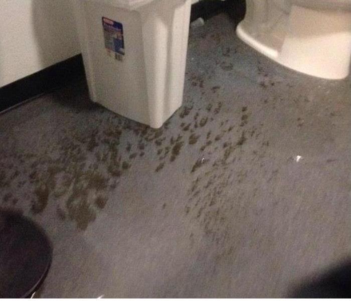 Bathroom with solid waste on the floor by the toilet 