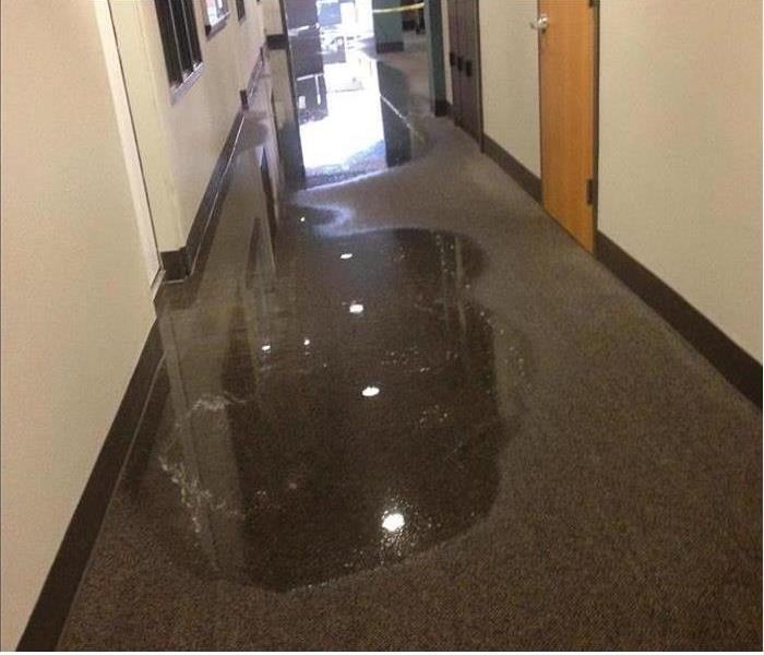 puddles in an office hallway