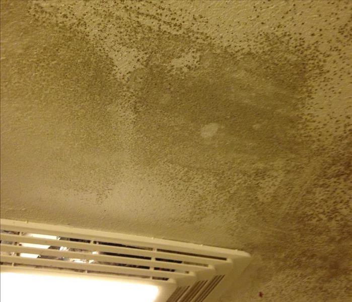 Bathroom ceiling with mold damage around the exhaust vent